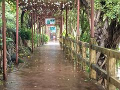 -四会奇石河风景区