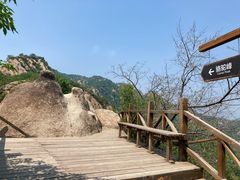 -大岭沟猕猴桃谷风景区