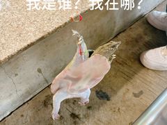 -粮心小农·大头虾亲子生态园(长发店)