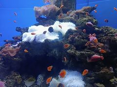 -多彩贵州城极地海洋世界