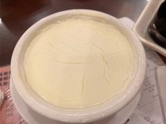 南信双皮奶-南信牛奶甜品专家