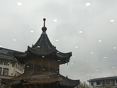 -怡园饭店-餐厅(四望亭店)