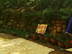 -上王村王家三合院农家乐