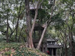 -蒋氏故居