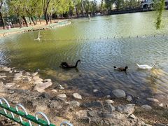 -蓝地时尚庄园(北京清河营地铁站店)