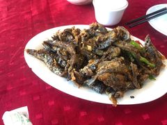 -蛇口康乐快餐鱼仔档(翠苑小区店)