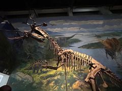 -自贡恐龙博物馆