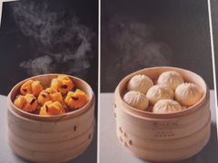 -眉州东坡(望京店)
