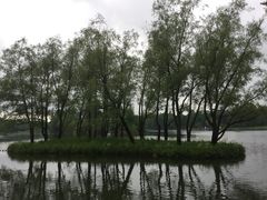-叶卡捷琳娜宫