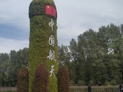 -金塔沙漠胡杨林景区
