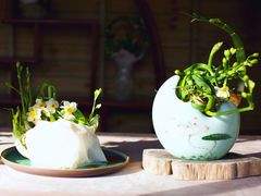 -共青国家森林公园-售票处