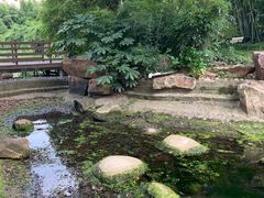 -苏州河梦清园环保主题公园