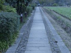 -八卦田遗址公园
