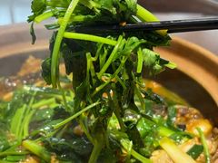 -九道菜有鸡鱼头(石鼓路店)