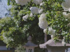 -苏州吴中太湖旅游区