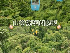 -野象谷景区