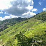 饮住香浓噶咖啡，食下地道噶桂林米粉真系爽爆