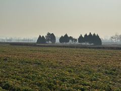 -汉长安城未央宫国家考古遗址公园