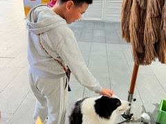 -宝山日月光中心