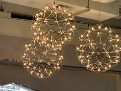 -探窝·竹笙椰子鸡(杨箕店)