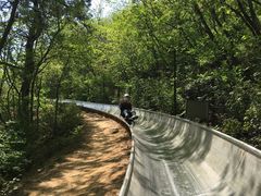 -富斯特索道