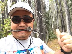 -阿萨巴斯卡瀑布观景点