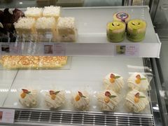 -蒲公英(五里店)