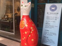 -猫咪博物馆(顶澳仔猫街店)