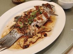 -沙龙酒家