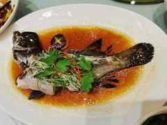 -阿锋鲍鱼酒家美食汇(华安店)