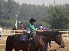 -月河湾马术俱乐部(朝阳店)