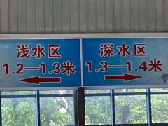 -奥林匹克体育中心游泳馆