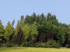 -北坞公园