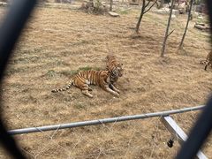 -无锡动物园·太湖欢乐园