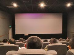 -新世纪电影城(阳光100店)