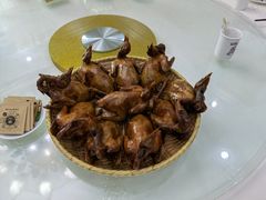 -光明农场大观园
