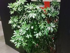 -望京辣宴·古法川菜(望京店)