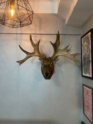 -極致刺青TATTOO STUDIO 私人订制