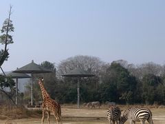 -宁波野生动物园