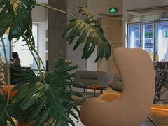 -COFFEEOLOGY咖啡学(天银店)