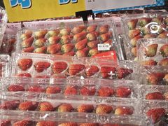 -AEON永旺(东方宝泰店)