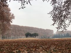-河南省黄河迎宾馆