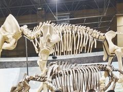 -国家自然博物馆