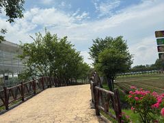 -盈香心动乐园