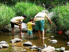 -碓臼峪自然风景区