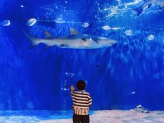 -华夏文旅海洋公园