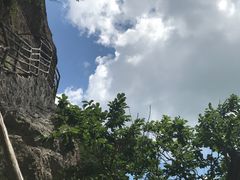 -天女山森林公园