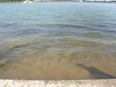-暨阳湖生态园