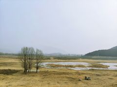 -唐指山风景区