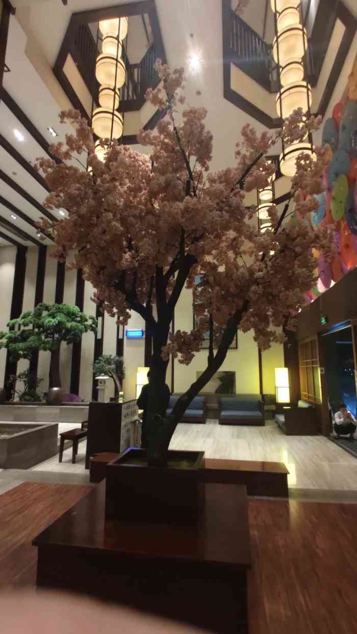 长乐汤城市温泉-"有各种汤池,大家可以选择自己喜欢的泡,设.